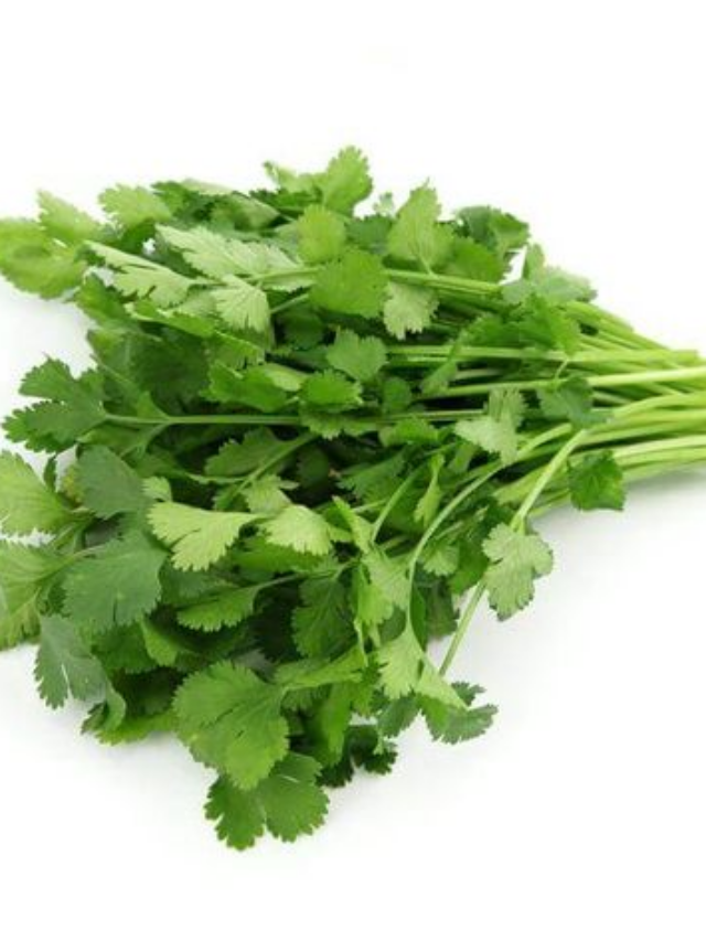 "How Coriander Boosts Digestion and Immunity"