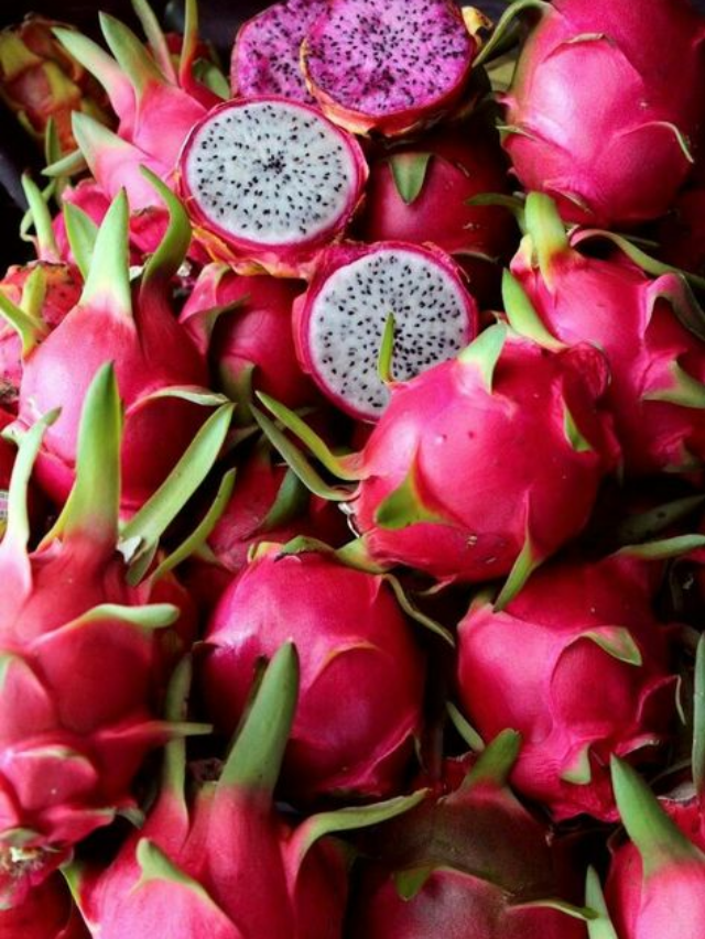 "How to Grow and Care for Dragon Fruit"